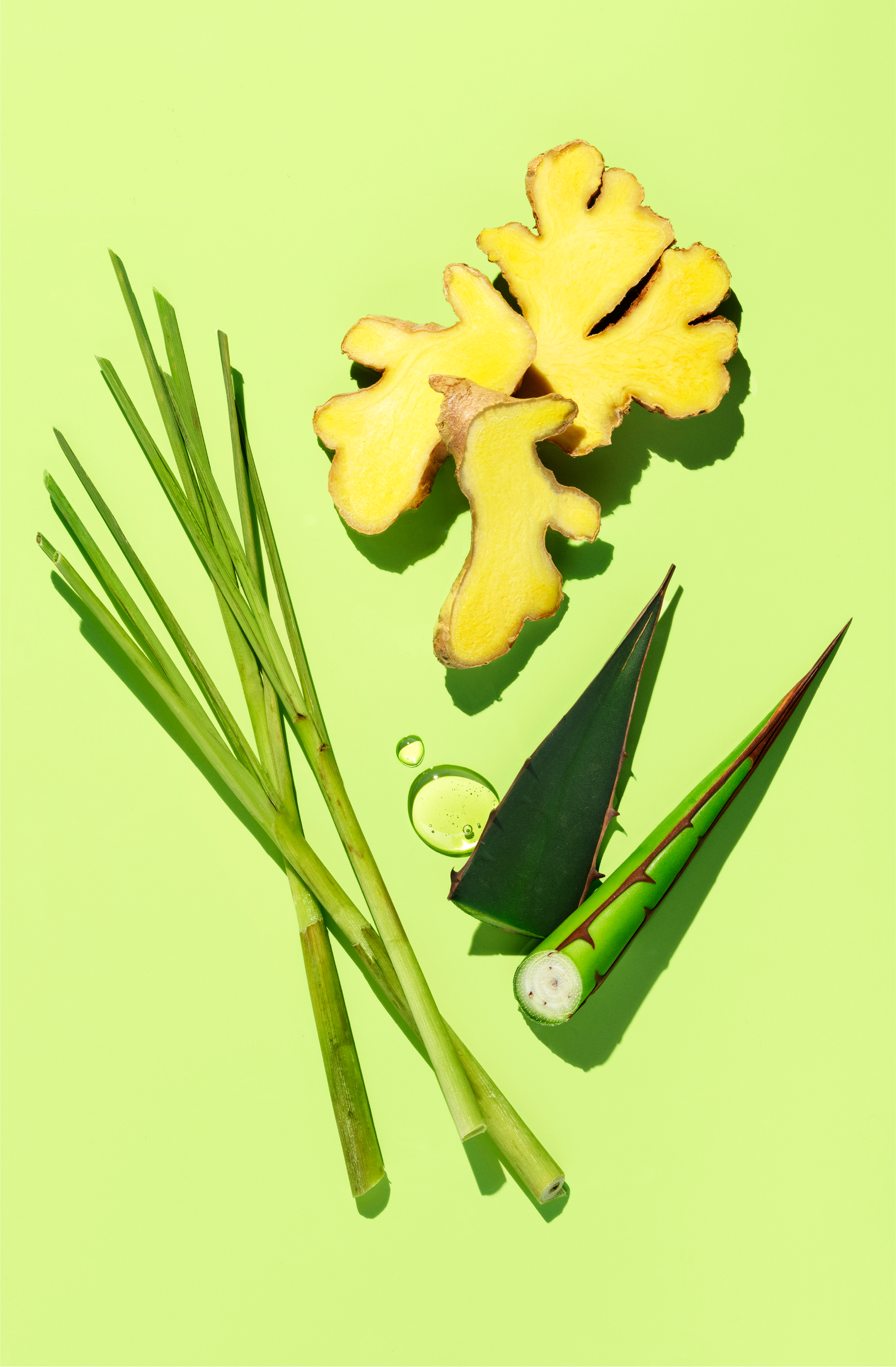 Ginger Lemongrass